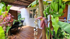 MOOREA - Studio Natura